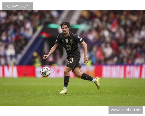 维蒂尼亚技术特点 维蒂尼亚技术特点